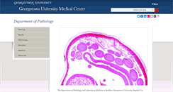 Desktop Screenshot of pathology.georgetown.edu